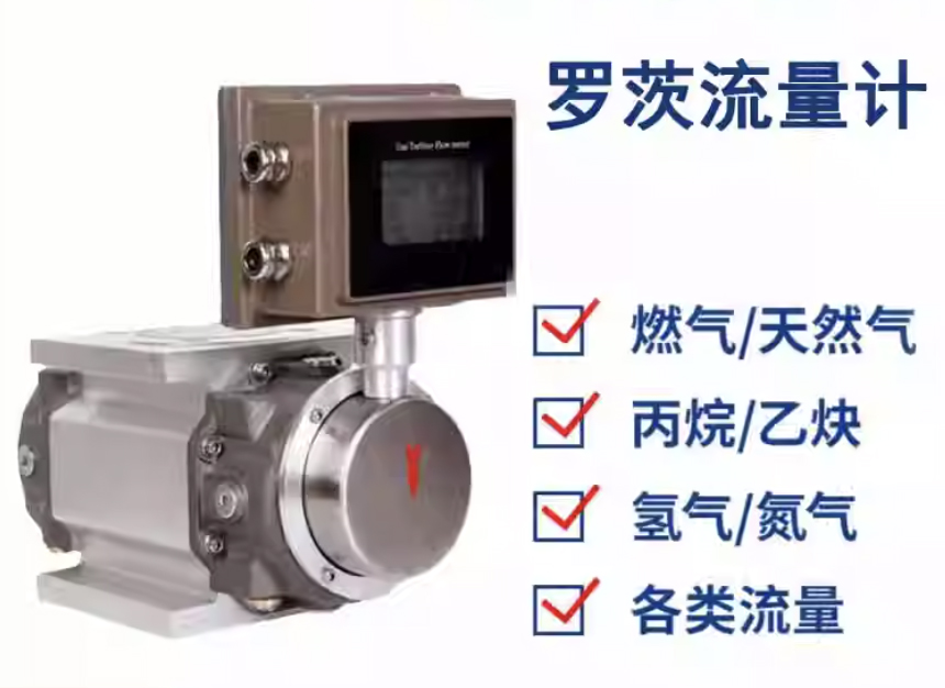 防爆羅茨流量計(jì)