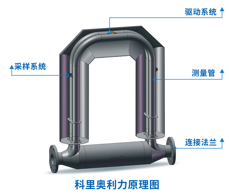 液體二氧化碳流量計(jì)結(jié)構(gòu)原理圖
