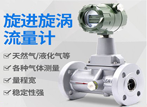 高壓旋進(jìn)旋渦流量計