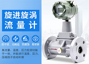 氣體旋進(jìn)旋渦流量計